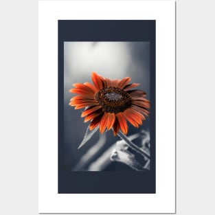 Dark Sunflower Posters and Art